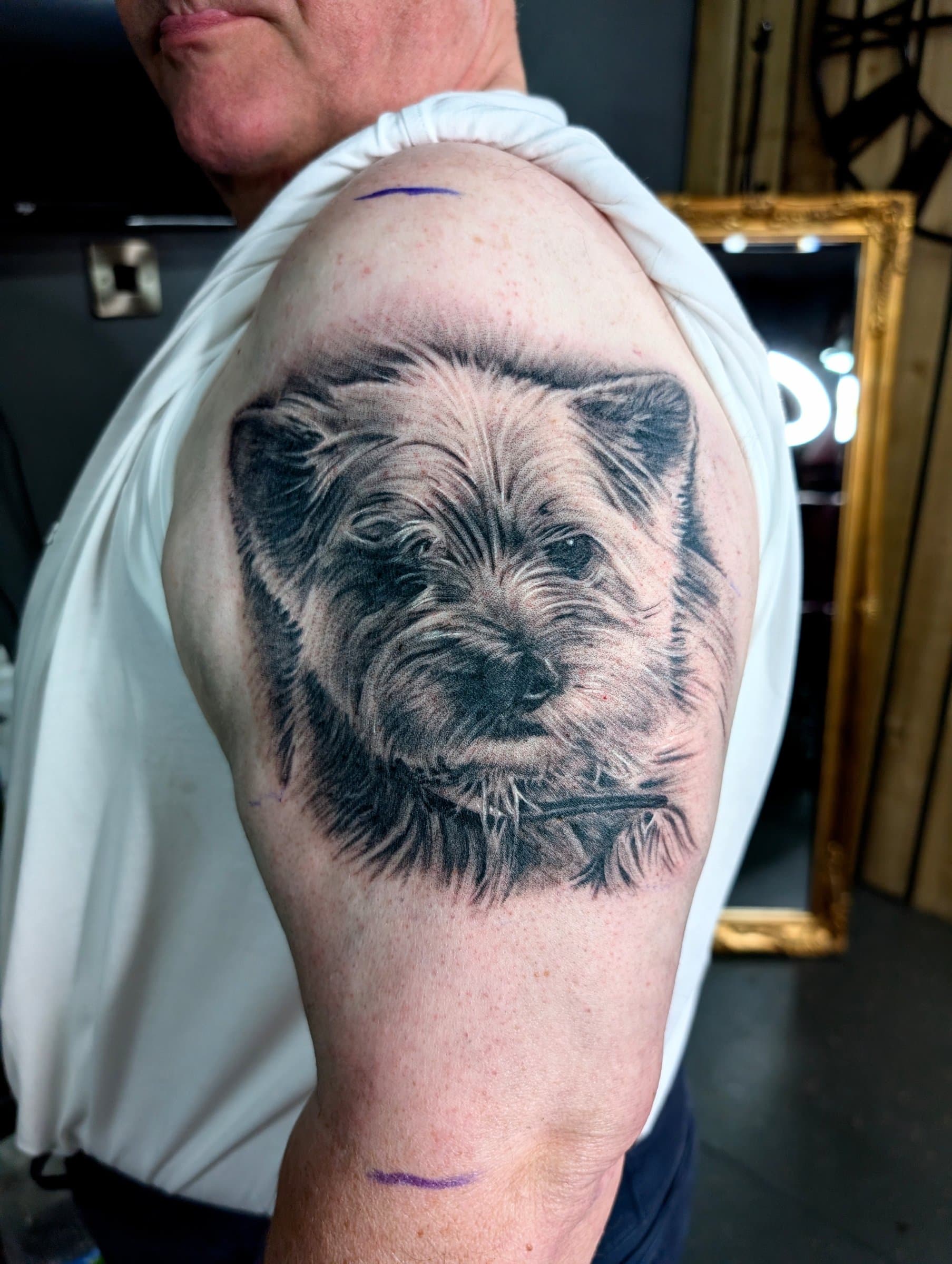Black and grey realism tattoo of a terrier dog's face on the upper arm