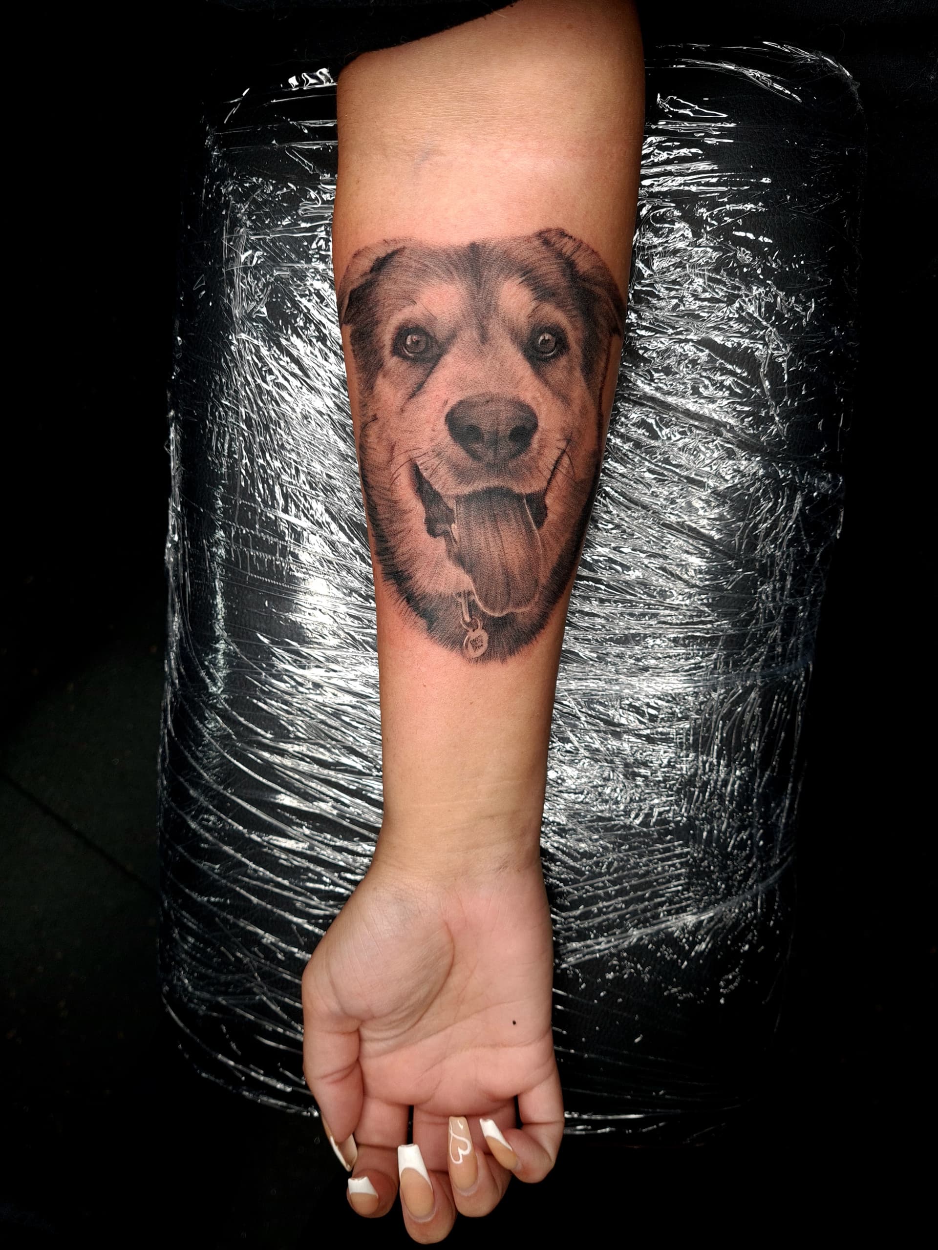 Realistic black and grey tattoo of a dog’s face on forearm.