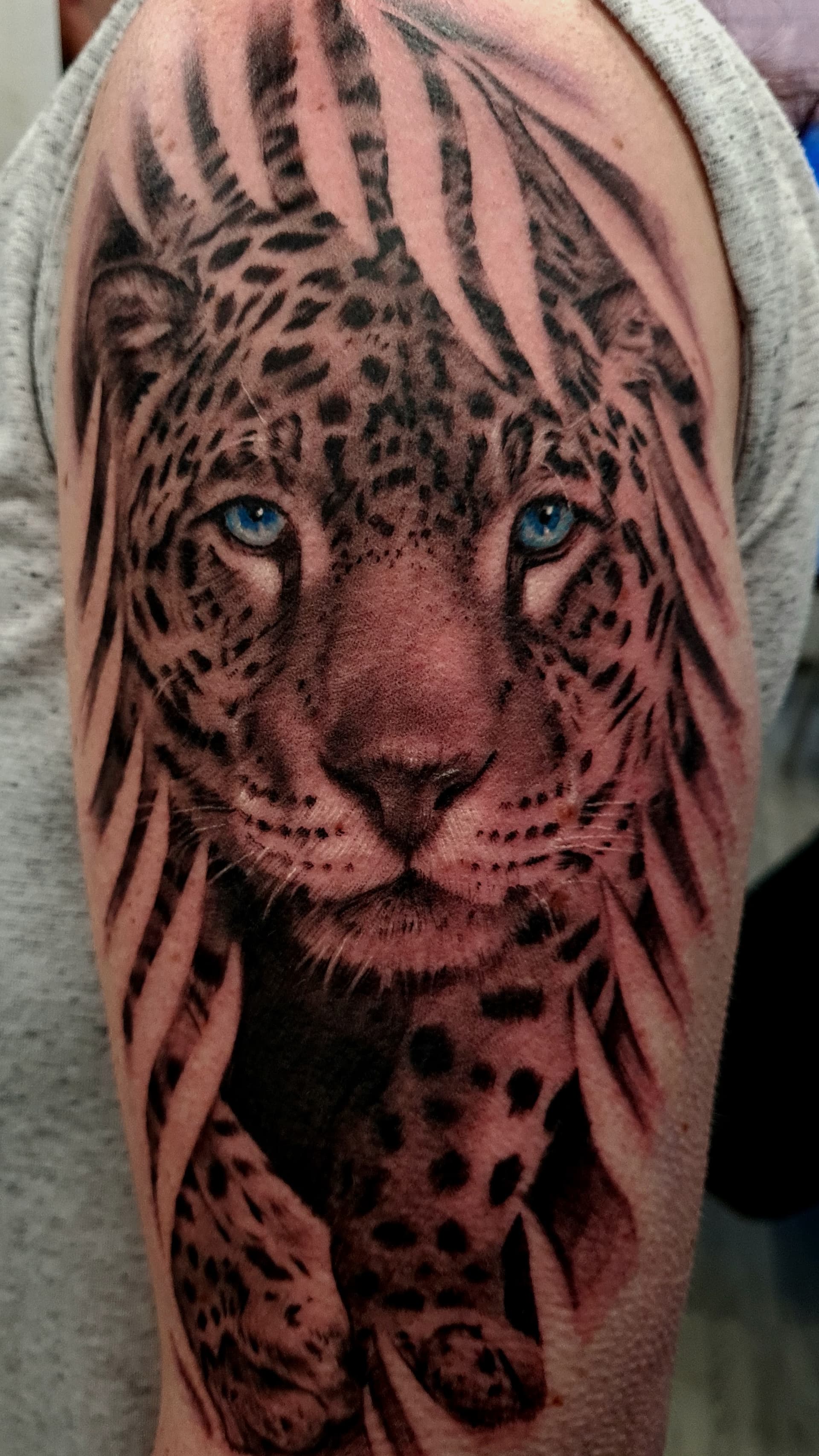 Black and grey realism tattoo of a leopard's face with blue eyes on the upper arm