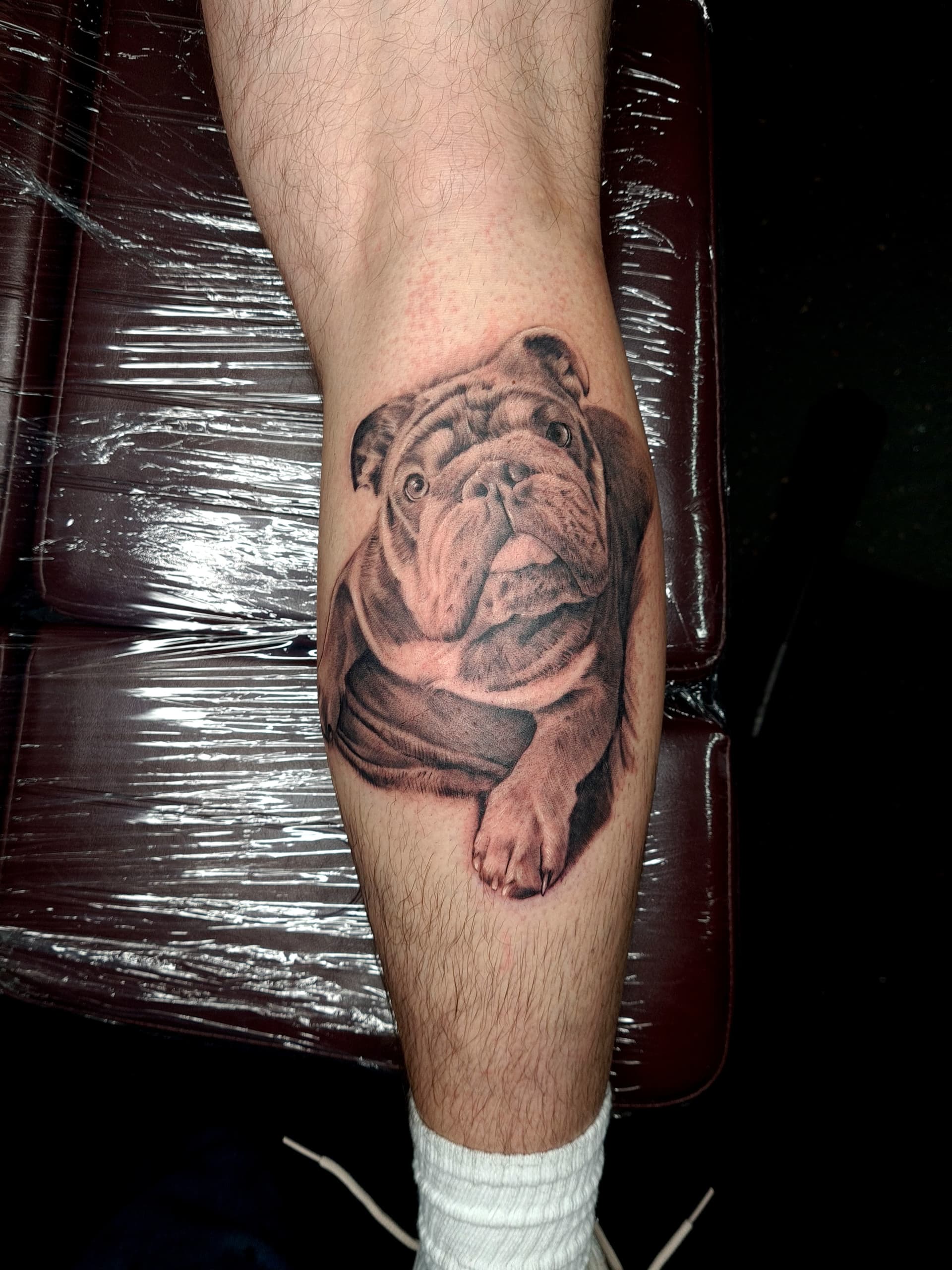 Black and grey realism tattoo of an English bulldog on the lower leg calf