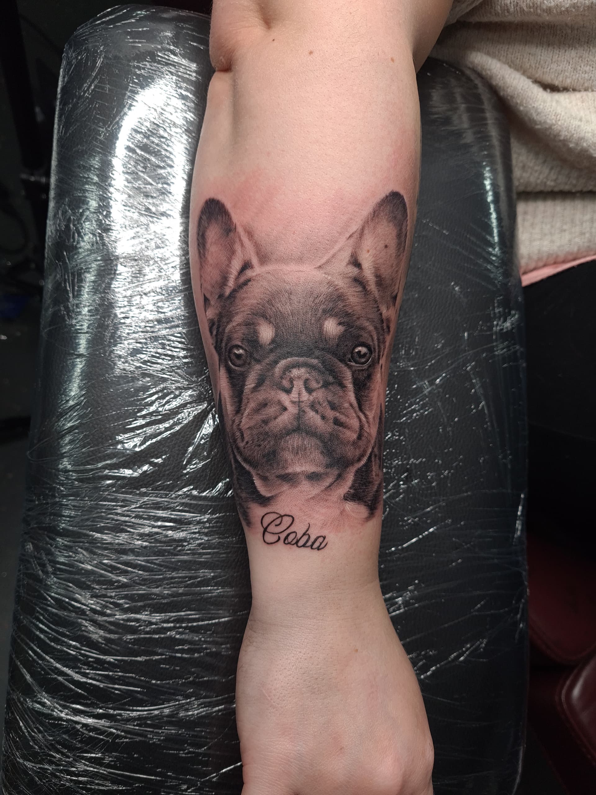 Black and grey realism tattoo of a French bulldog's face with the name Coba on the forearm