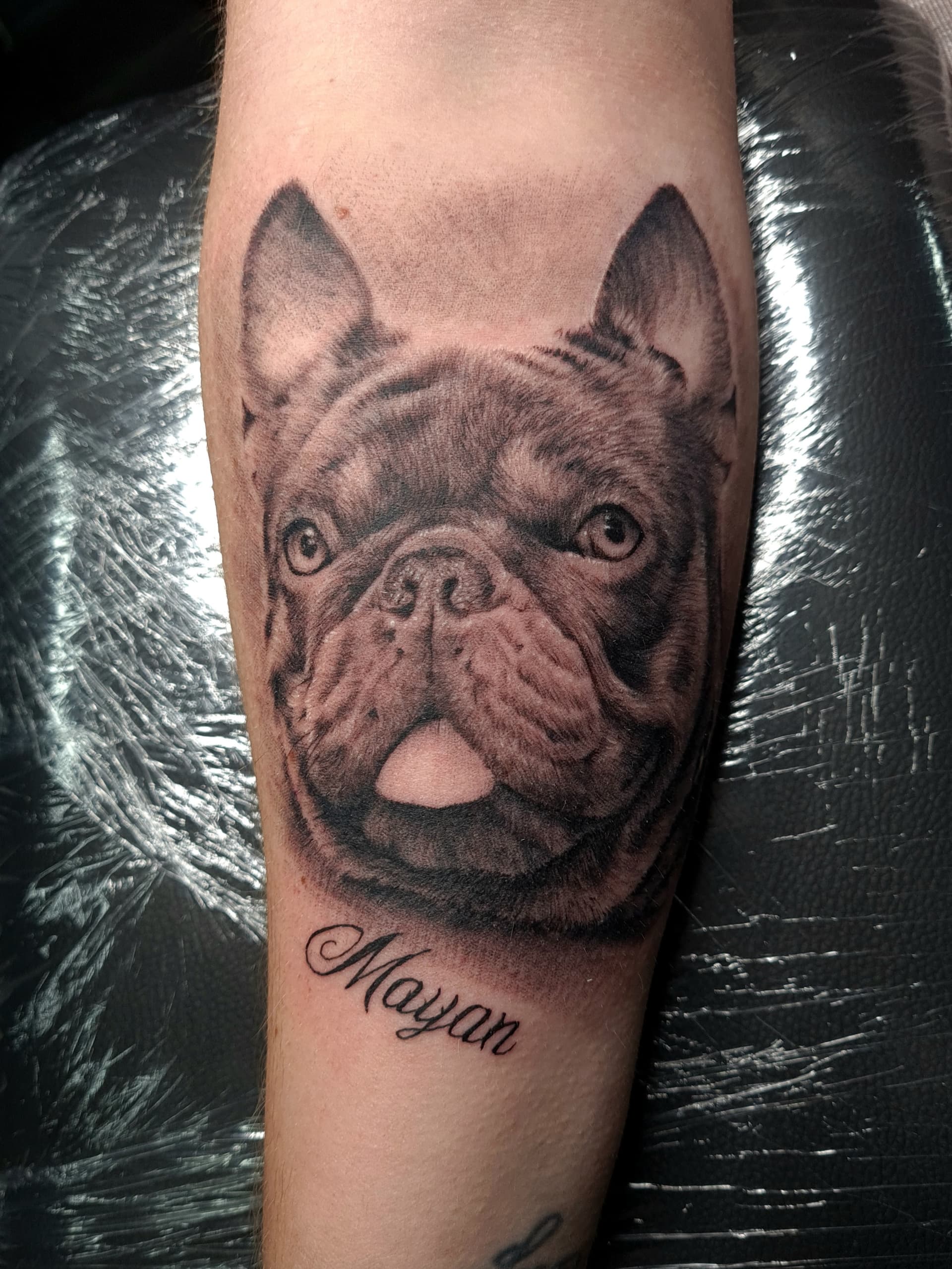 Black and grey realism tattoo of a French bulldog's face with the name Mayan on the forearm