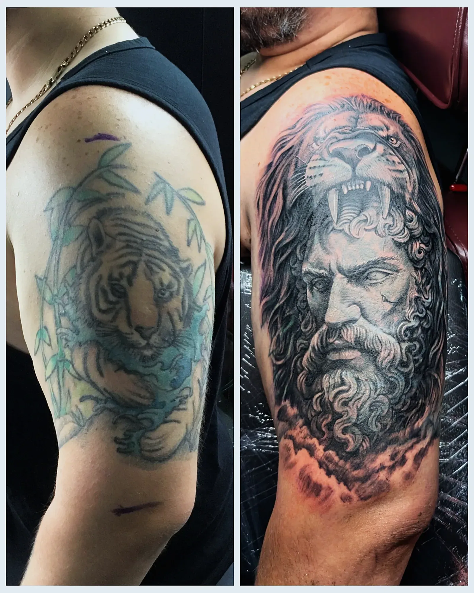 Before and after of a black and grey Hercules in a lion's head covering an old coloured tiger tattoo on the shoulder.