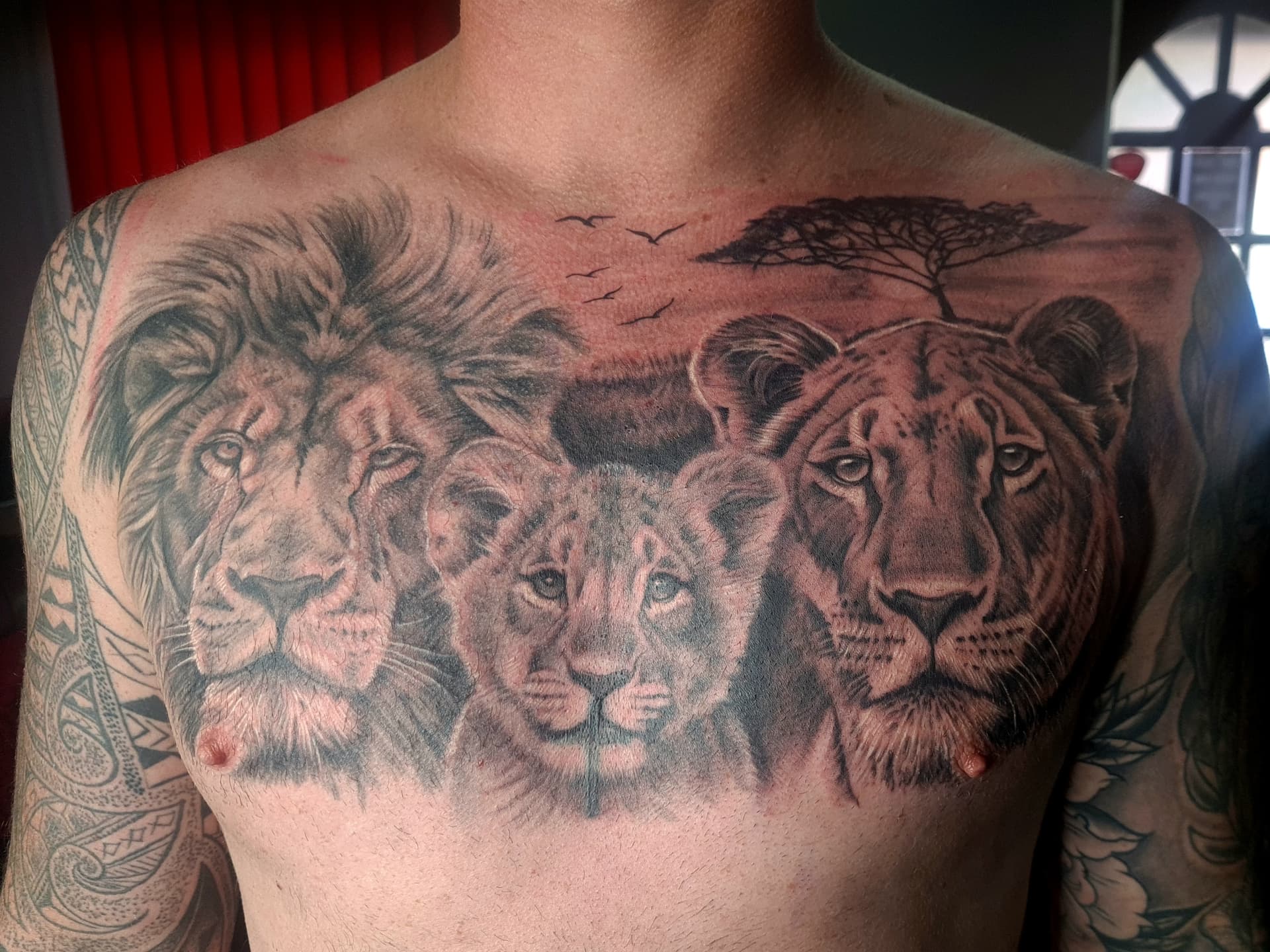 Black and grey realism tattoo of a lion, lioness and cub with African savanna scene on the chest