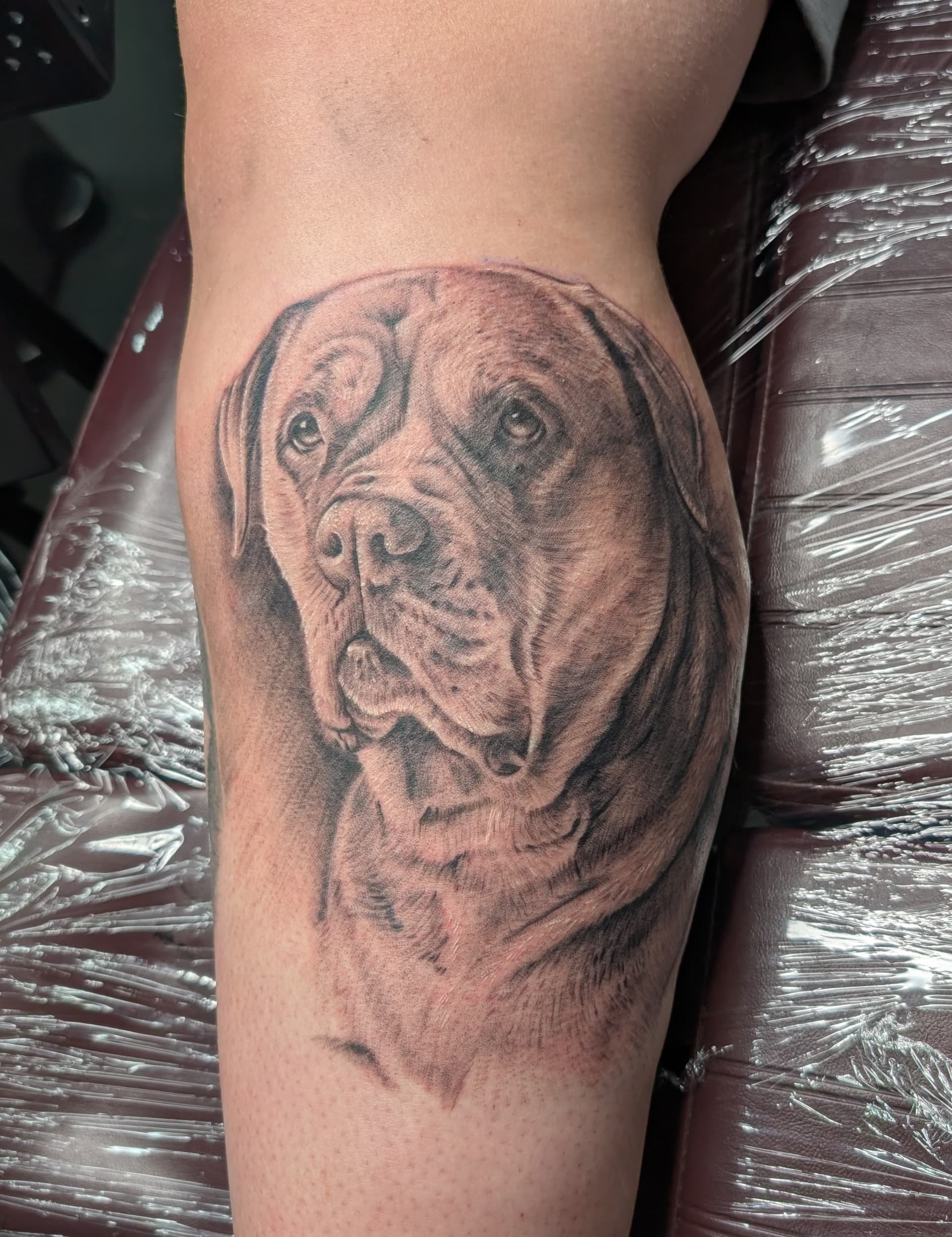 Black and grey realism tattoo of a Rottweiler's face on the inner arm