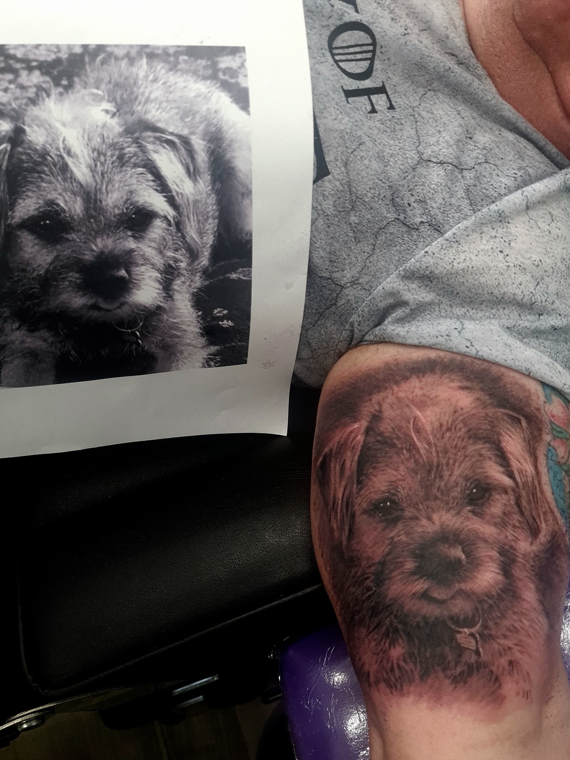 Black and grey realism tattoo of a terrier dog's face on the upper arm, shown next to reference photo