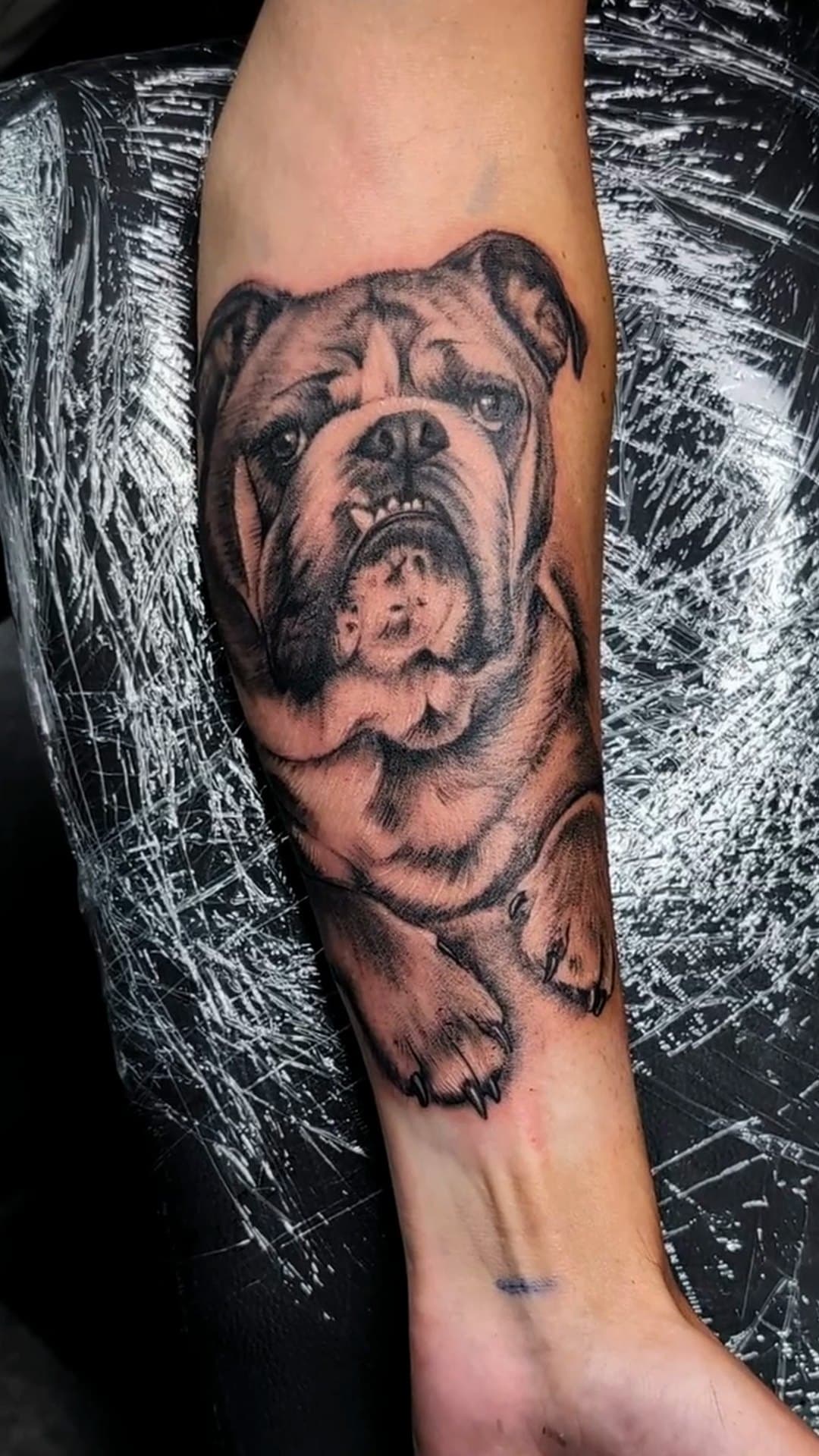 Realistic bulldog portrait forearm tattoo, 4-hour session — cover photo