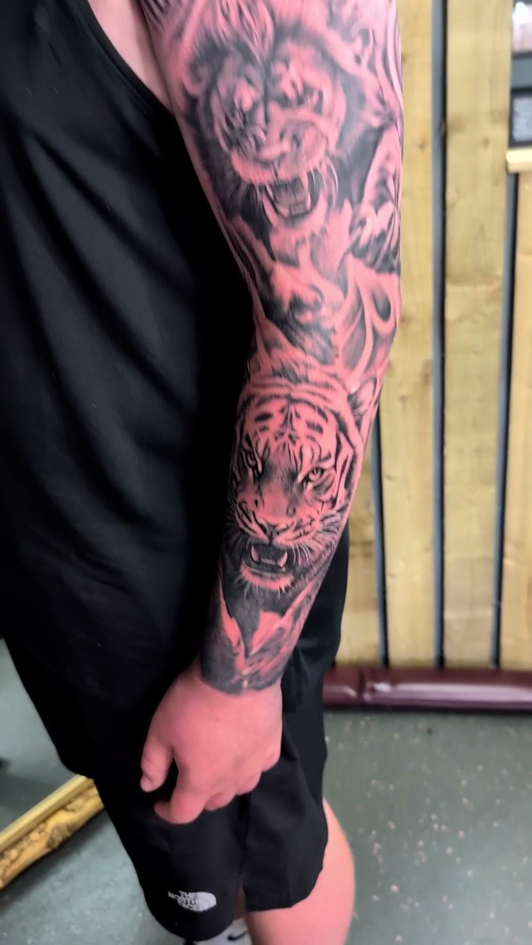 Lion and tiger arm sleeve tattoo, stencil to reveal — cover photo